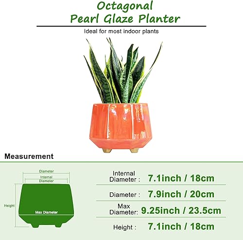 Miniatura 9 de Maceta de cerámica de 6 pulgadas + 4 pulgadas para plantas de interior, macetas con orificio de drenaje, maceta minimalista moderna para suculentas