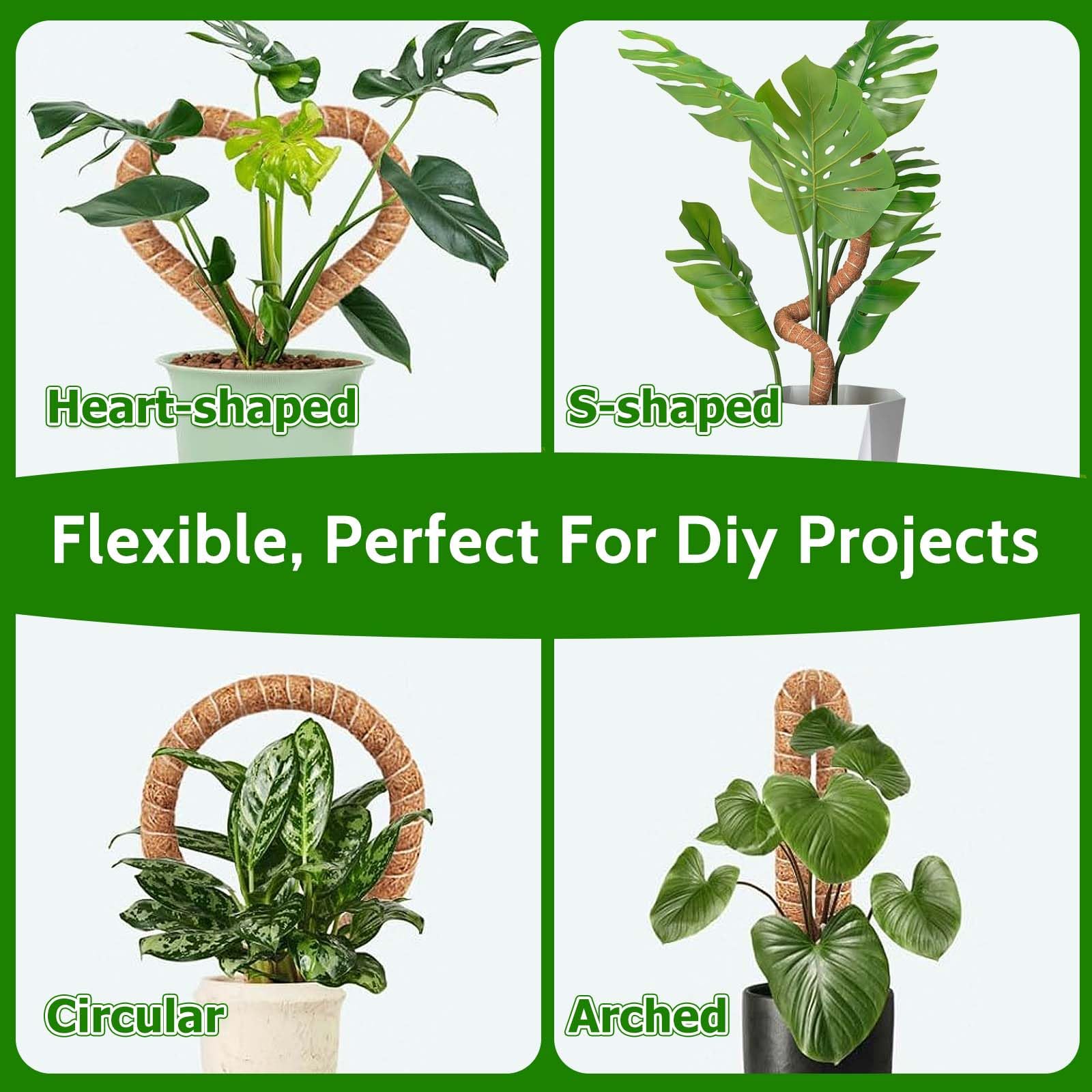 Moosstab Monstera fr Pflanzen,2x60cm Biegsame Monstera Rankhilfe,Handgemachte  Coco Coir Pole,Biegsame Rankhilfe fr Kletterpflanzen mit  Zubehr,Pflanzensttze fr Kletterpflanzen im Innenbereich : Amazon.de:  Garten