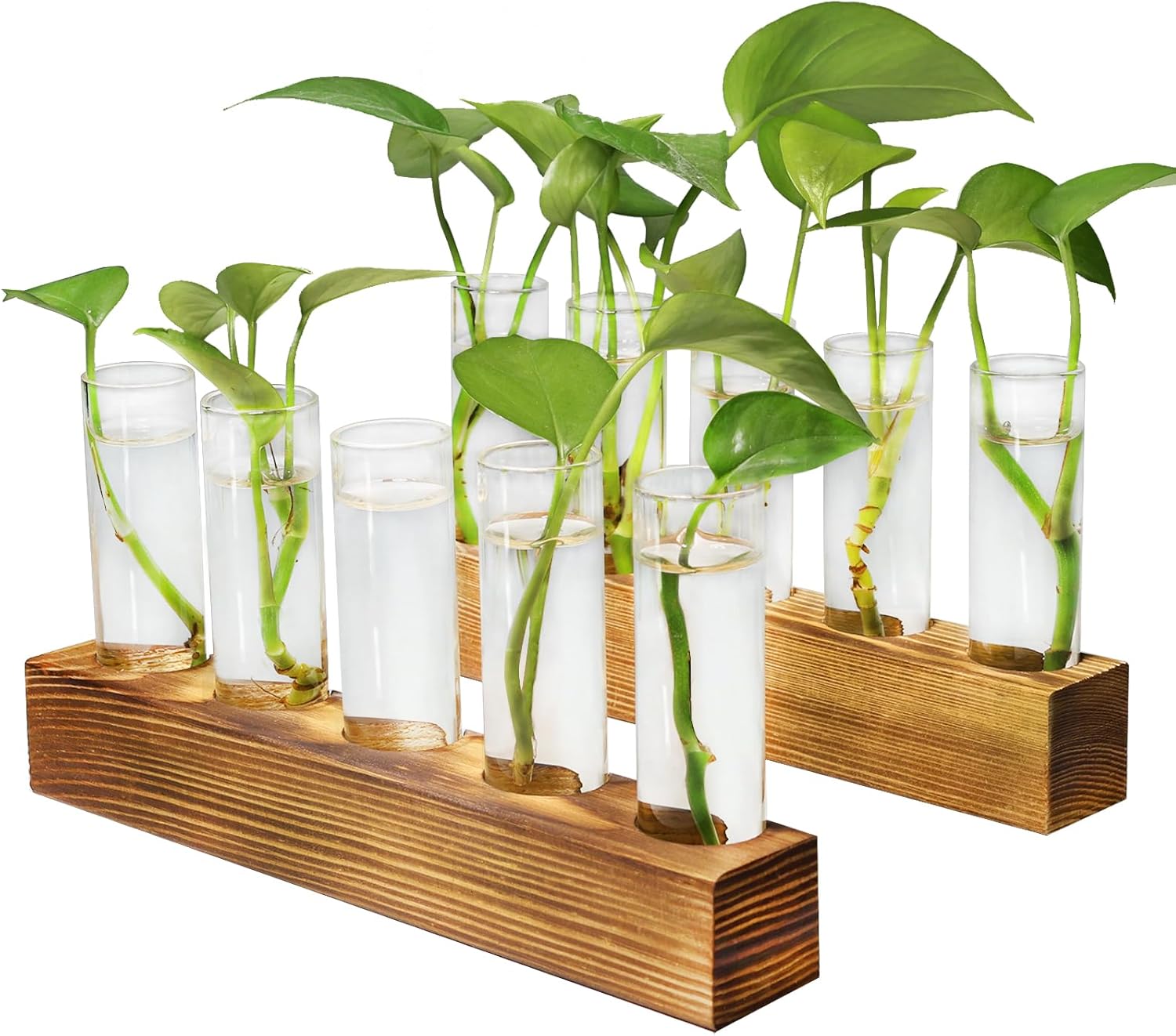 Plant Propagation Station, Plant Terrarium with Wooden Stand for Hydroponics Plants Office Decor Unique Gardening Gifts for Women Plants Lovers - 10 Glass Test Tube Vases - Amazon product rated Grade B