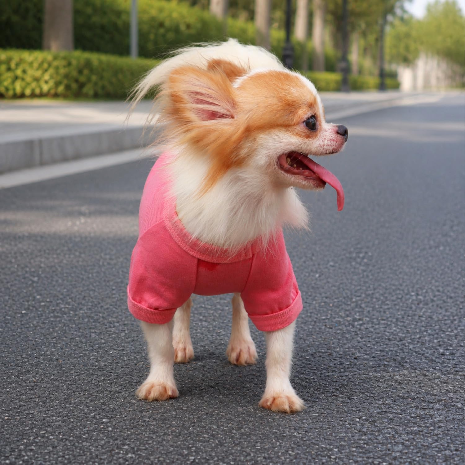 ミナペルホネン choucho dog wear 犬 服 ワッフル ピンク S choucho