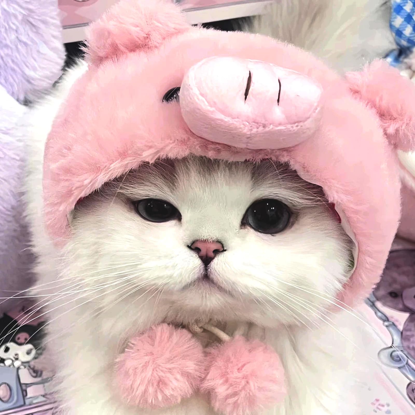 2 Pezzi Cappello Gatto, Morbido Peluche Cappelli per Gatti, Adorabile Cappello per Gatto, Modelli con Pulcini e Maialino Cappellino gatto, Cappellino per Gatti Copricapo Accessori