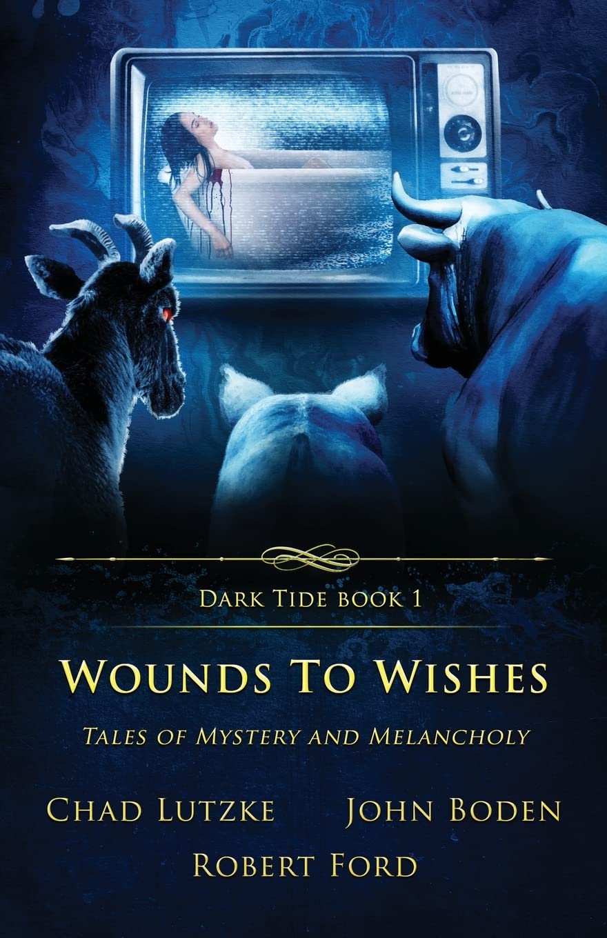 Cover of Wounds to Wishes