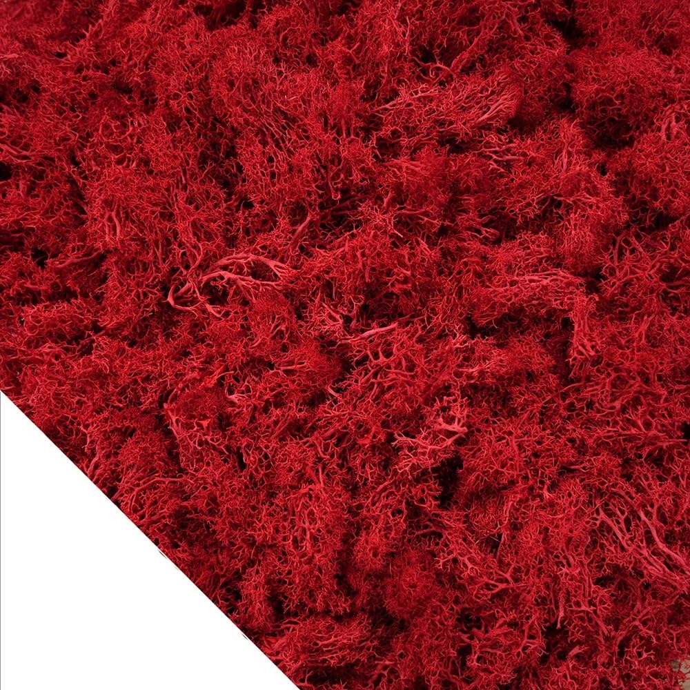 HZLXF1 100g Eternal Life Moss Artificial Plants,DIY Crafts Grass Garden Home Room Decor Mini Landscape Fake Grass(A007)