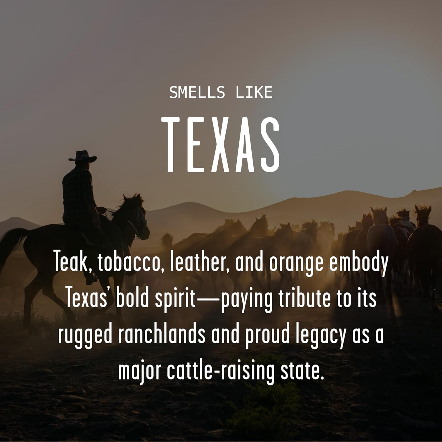 Texas Gifts, Texas Decor for Home - 'There's No Place Like Texas Candle, w/Teakwood, Tobacco & Rich Leather I Texas Souvenirs I Texas State Gifts I 9oz Jar, 50Hr Burn, USA Made - Image 3