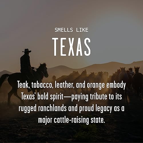 Vista 132 de Regalos de Nueva York, decoración de Nueva York para el hogar – 'There No Place Like New York Candle, con manzana jugosa, canela y calabaza I New