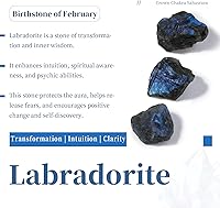 Vista 2 de SUNYIK Piedras de labradorita con chips pulidos, piezas de cuarzo triturado, piedras de forma irregular, 1 libra (alrededor de 460 gramos)