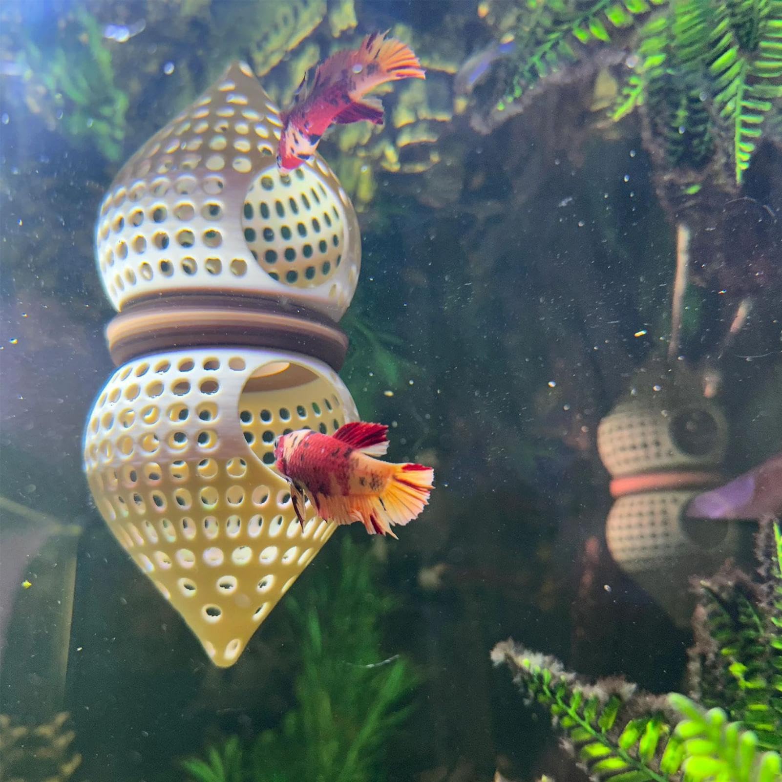 Betta Hängematte 3D-Gedruckter Futter Unterschlupf | Aquarium Fischhöhle Hängematte Spielzeug Für Corydora, Clownkrebs, Welse Und Zwerggarnelen Zum Züchten, , Füttern Und