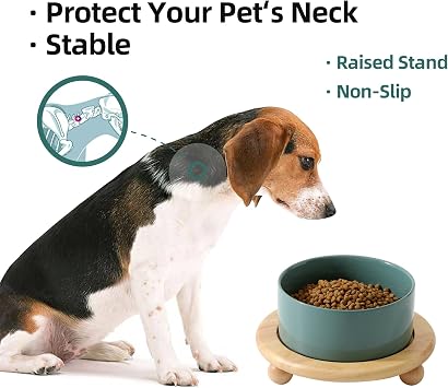 Havniva Raised Cat Bowls Water Bowl 6.1 Elevated Ceramic Cat Food and Water Bowl Whisker Friendly Pet Food Bowls for Indoor Cats, Wide Cat Water Dish Prevent Whisker Fatigue Non Slip Cat Feeder