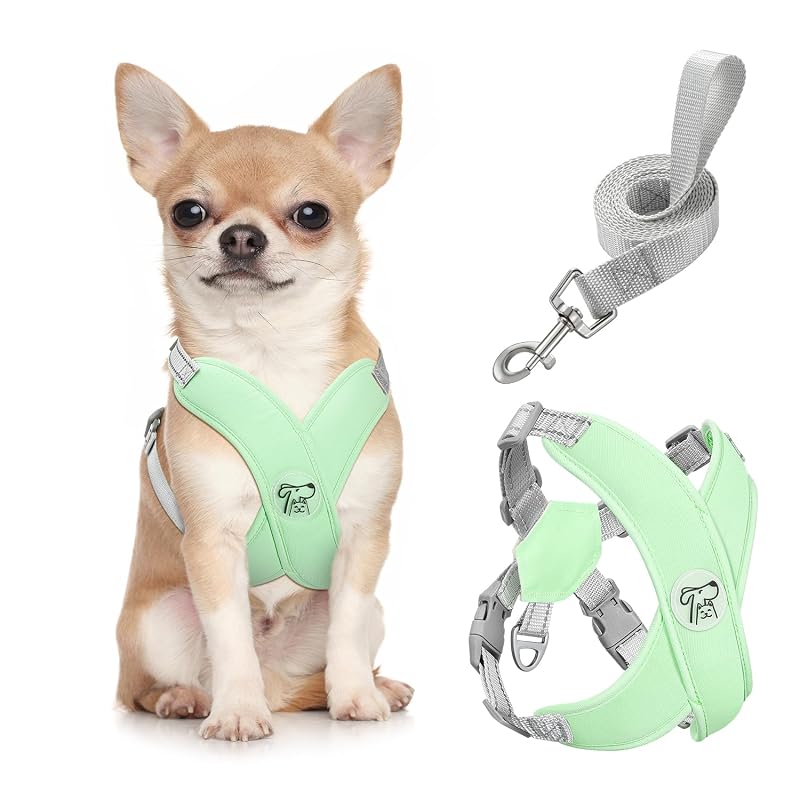Peitoral vest ajustável para cães pequenos com guia Pawaboo A-Mint Green, tamanho S