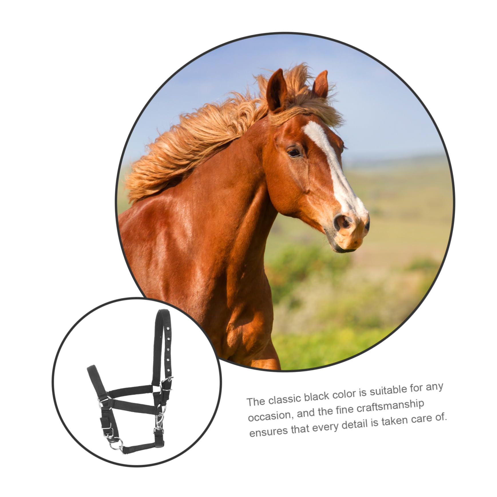 BESPORTBLE Cabestro Ajustable de Nylon para Caballos Alta Durabilidad y Cómodo de Llevar, Accesorio Ecuestre Adecuado para Montar y Eventos en Color Negro