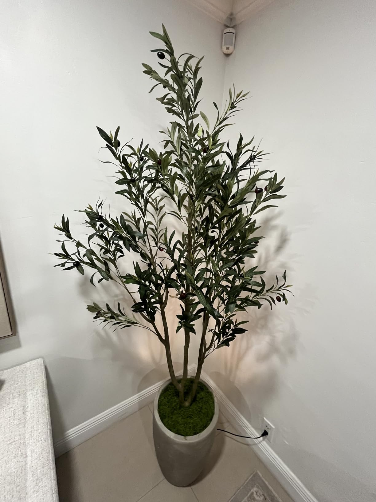 Buy VIVATREES Olive Trees Artificial Indoor, 6FT Tall Faux Olive Tree ...