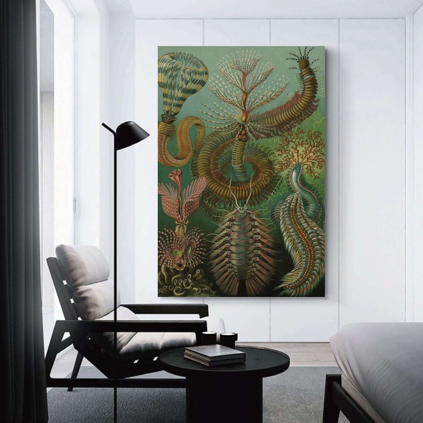 Junmoney 1904 CHAETOPODA Canvas Art Print, 20x30inch(50x75cm), for Restful Interiors, Bedrooms Or Small Rooms, A Warm Accent for Relaxed Interiors