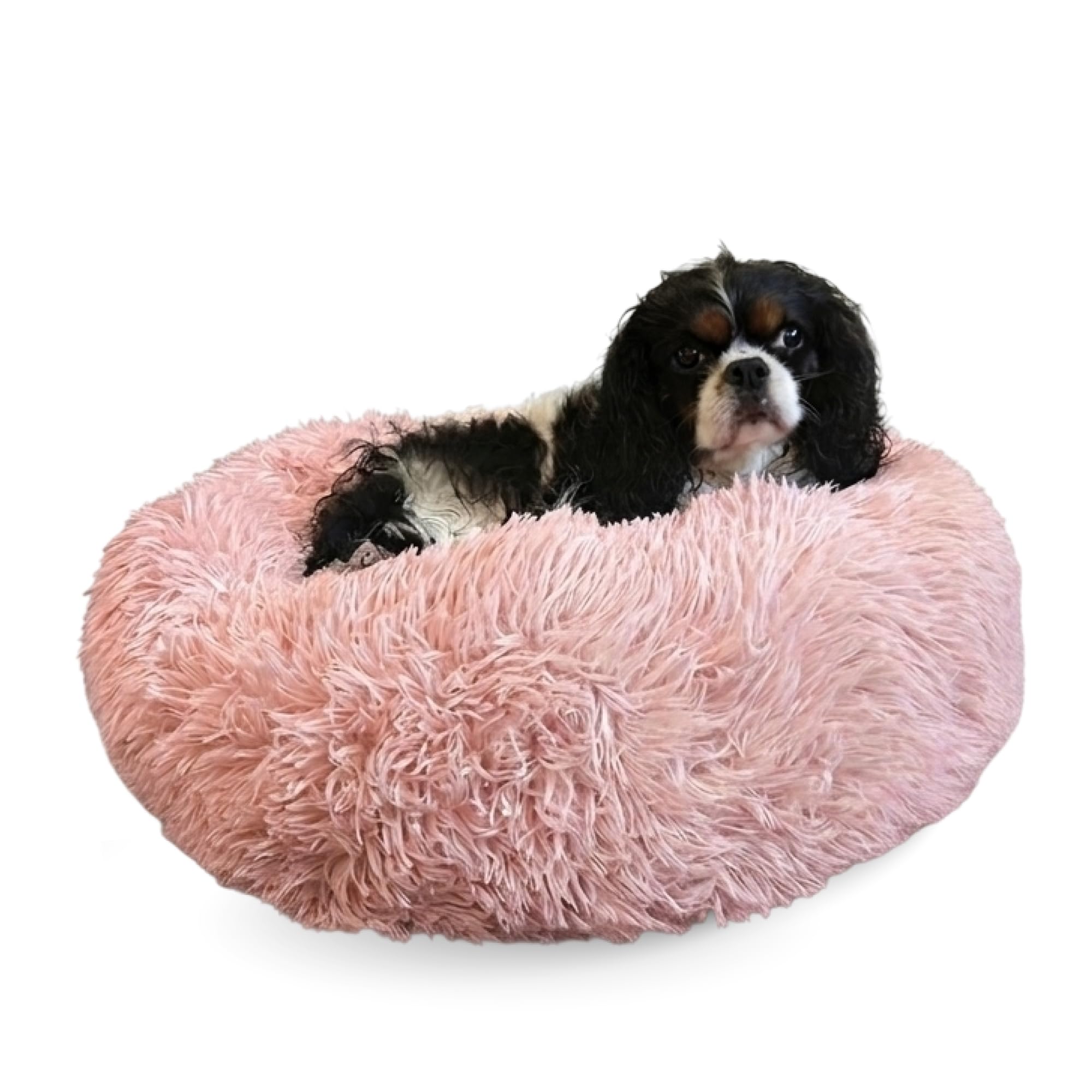 Backup Battery Pack for Washable dog bed product research image