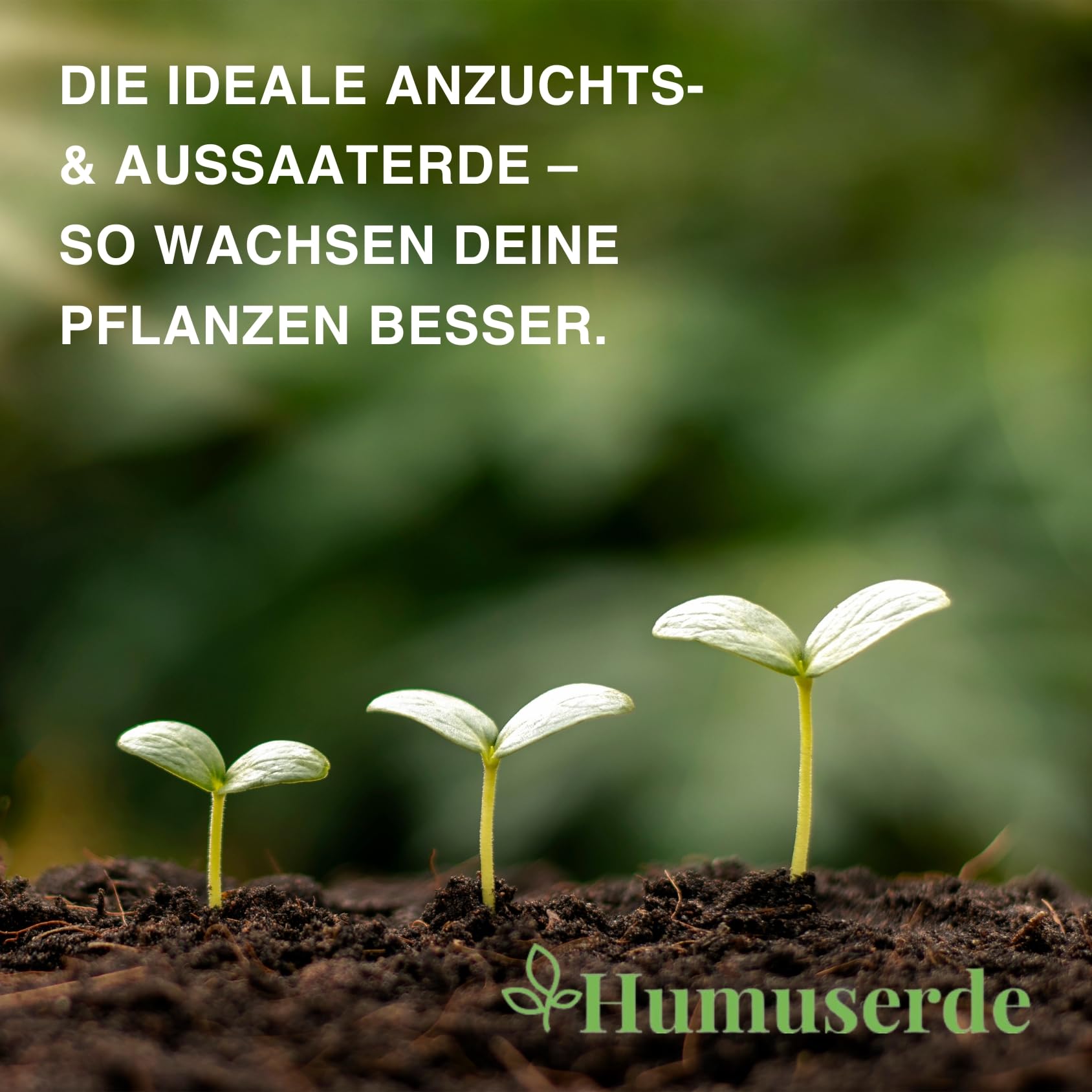 Humuserde I Kokoserde für Pflanzen 10 x 650g - 90L Kokoserde I Erde aus Kokosfasern I 100% natürlich & biologisch abbaubar I nährstoffarme Anzuchterde torffrei & ungedüngt für Hochbeete & Terrarien