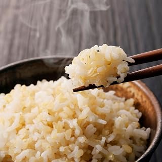 【先行受付2026年発送】長野県産!生きた土壌で育った御牧原米こしひかり 玄米(令和8年産)|里山JAPAN ※2026年10月上旬以降に発送予定