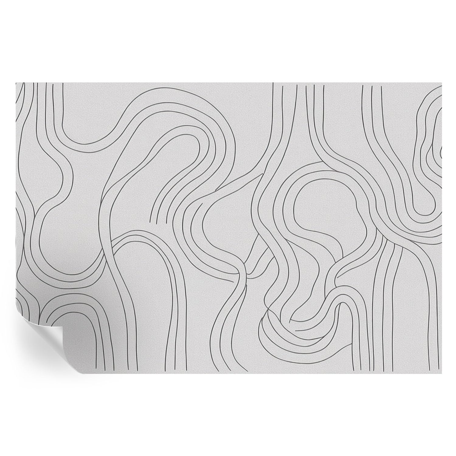 Adornos de pared de líneas orgánicas 152x104 cm para renovar el estilo de su oficina