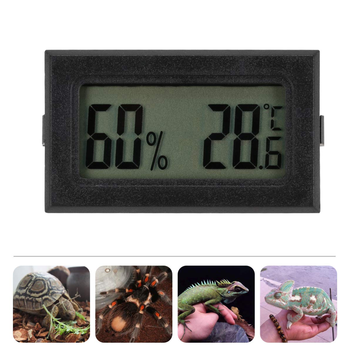 BESPORTBLE 3 Set Igrometri per Terrari Igroscopio Digitale Sonda Mini Digitale LCD Esterno Igroscopio Digitale Monitor 5 Pz * 3