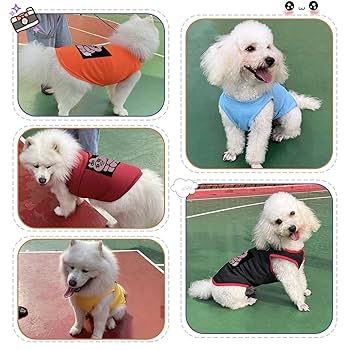 犬服 S わんこの普段着　花うさぎ 楽天市場】犬服 うさぎ 冬 ペット 服 ドッグウェア うさぎ うさ