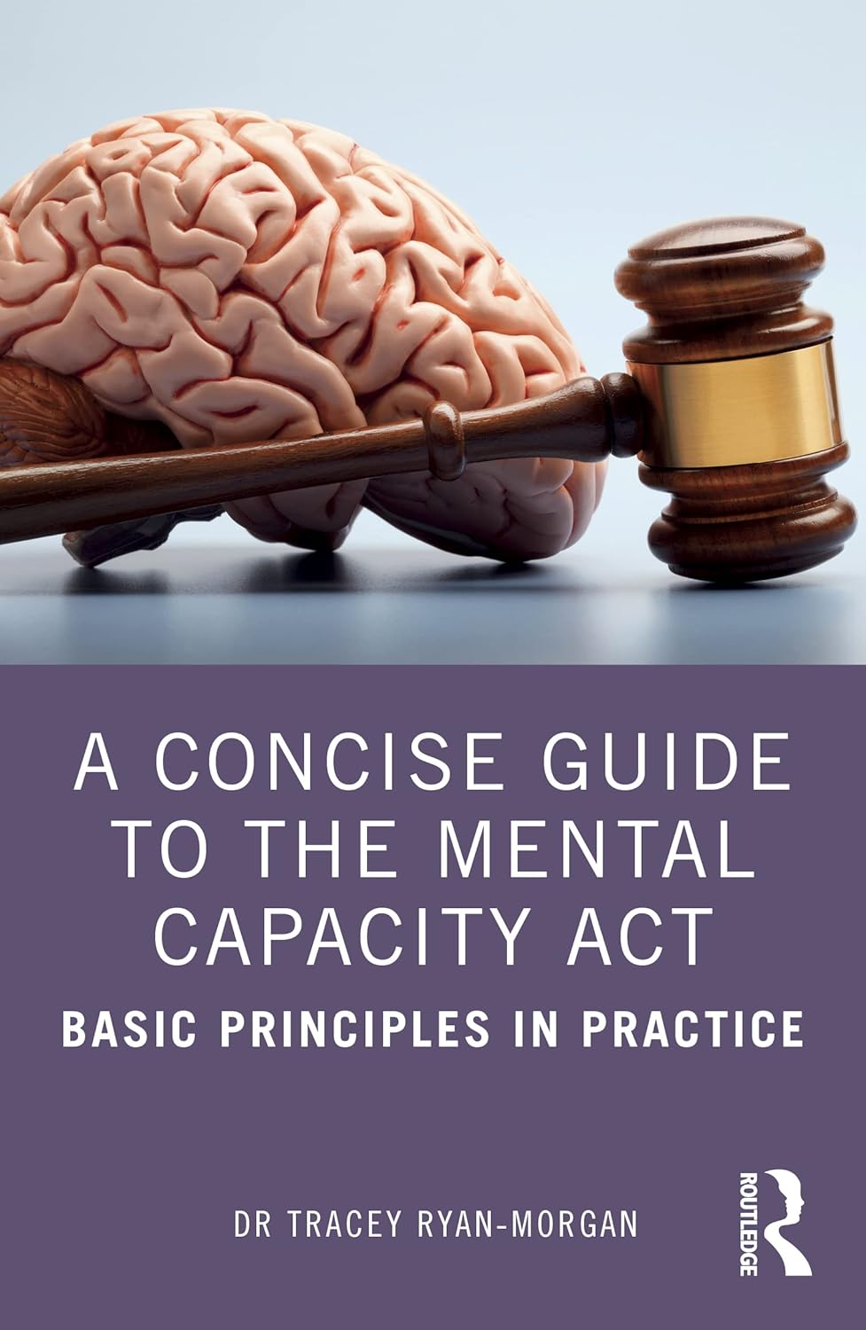 Buy A Concise Guide to the Mental Capacity Act: Basic Principles in ...