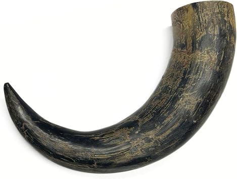 6-10" Natural Water Buffalo Horn