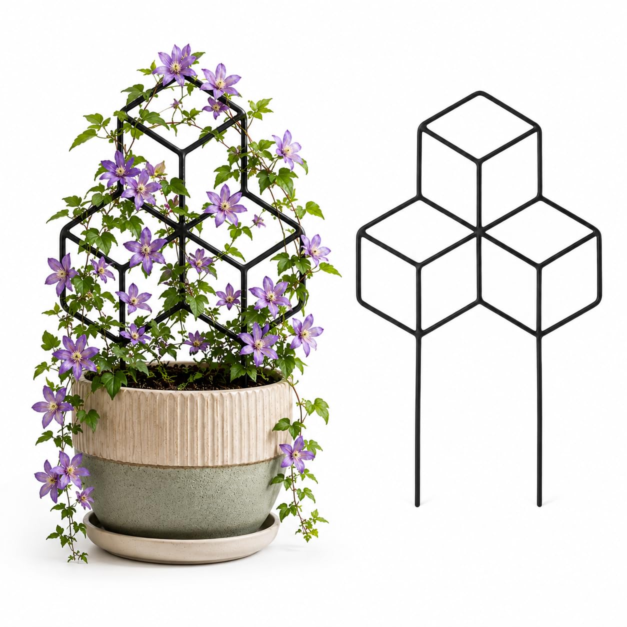 NK Ventures- Garden Solutions Metal Plant Support for Climbing Plants| Bonsai | Office Desk| Decorative Diamond Trellis Stake for Pots | Rustproof Black Iron Garden Stand, 15 Inch | Set of 1-image-19