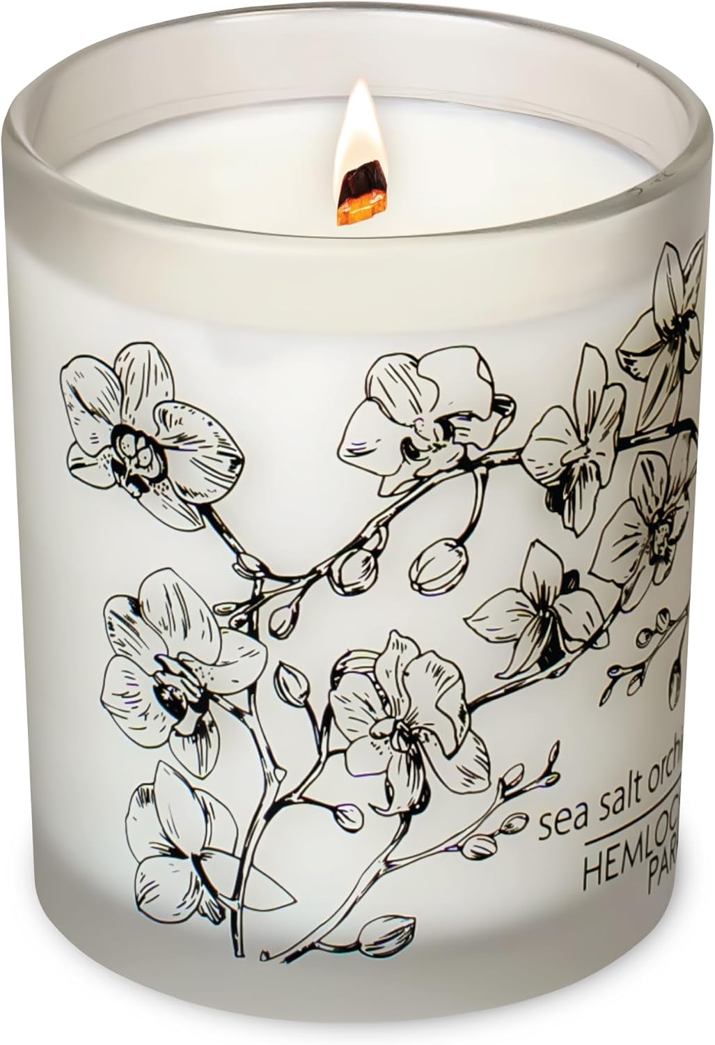 Hemlock Park Foxtail Fir Frosted Hand-Poured Scented Candle | Crackling Wood Wick, Botanical Fragrance & Coconut Wax | Up to 50 Hour Burn Time | 7.2 oz