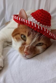 K rm z  Kovboy  apka  rg  Kedi K pek  apkas  Oyuncak Hikayesi Toy Story Jessie  apkas  Pet Aksesuar