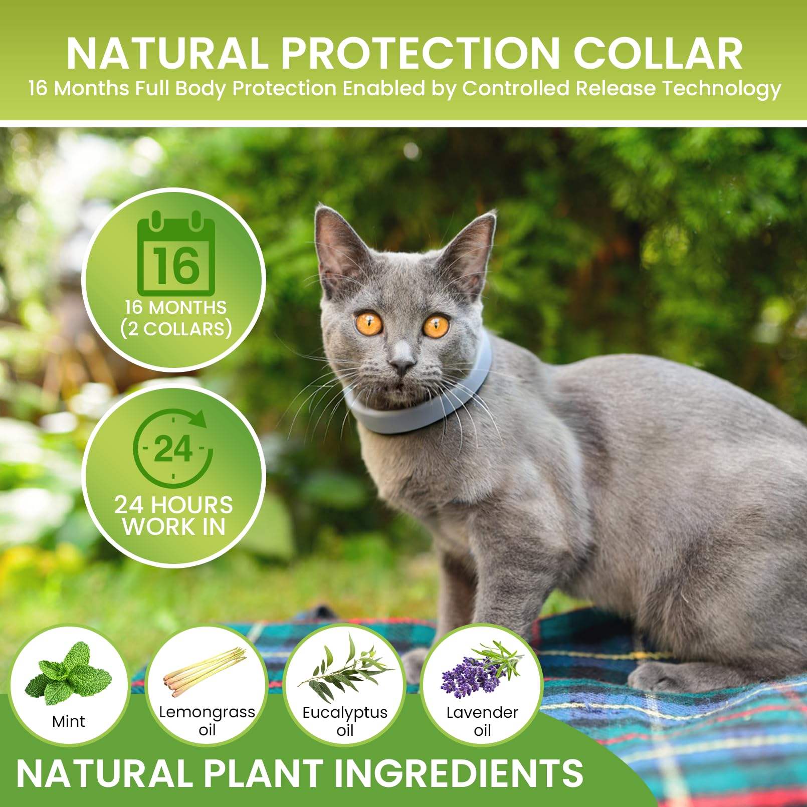 Verstellbares Katzenhalsband 2er Set mit natürlichen Pflanzenextrakten – Komfort & Langzeitpflege bis zu 16 Monate, Wasserfest, Leicht & Angenehm für Katzen ab 7 Wochen - 4