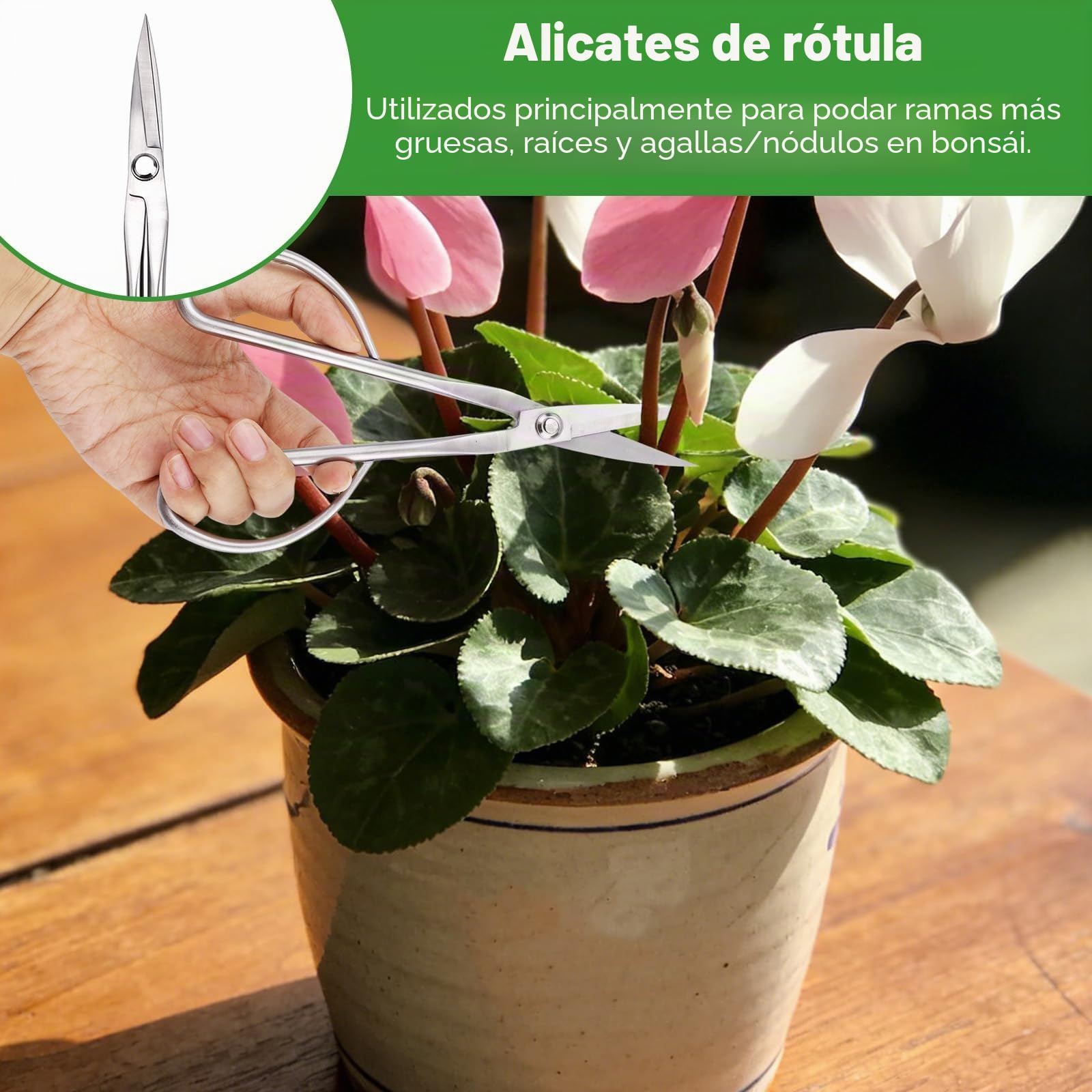 3uds Herramientas para Bonsai, Profesional Acero Inoxidable con Cortador de Pomo Cortador Cóncavo y Tijeras Hojas para Poda Modelado y Cuidado Plantas Precisión