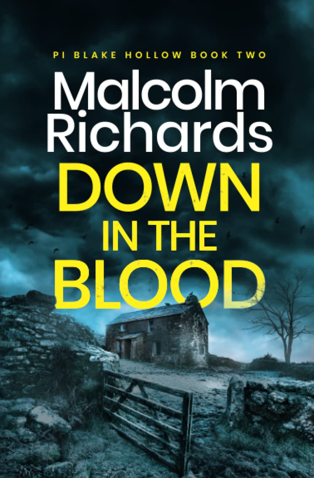 Down in the Blood: A Chilling British Crime Thriller: A Chilling Cornwall Crime Thriller: 2 (Private Investigator Blake Hollow)