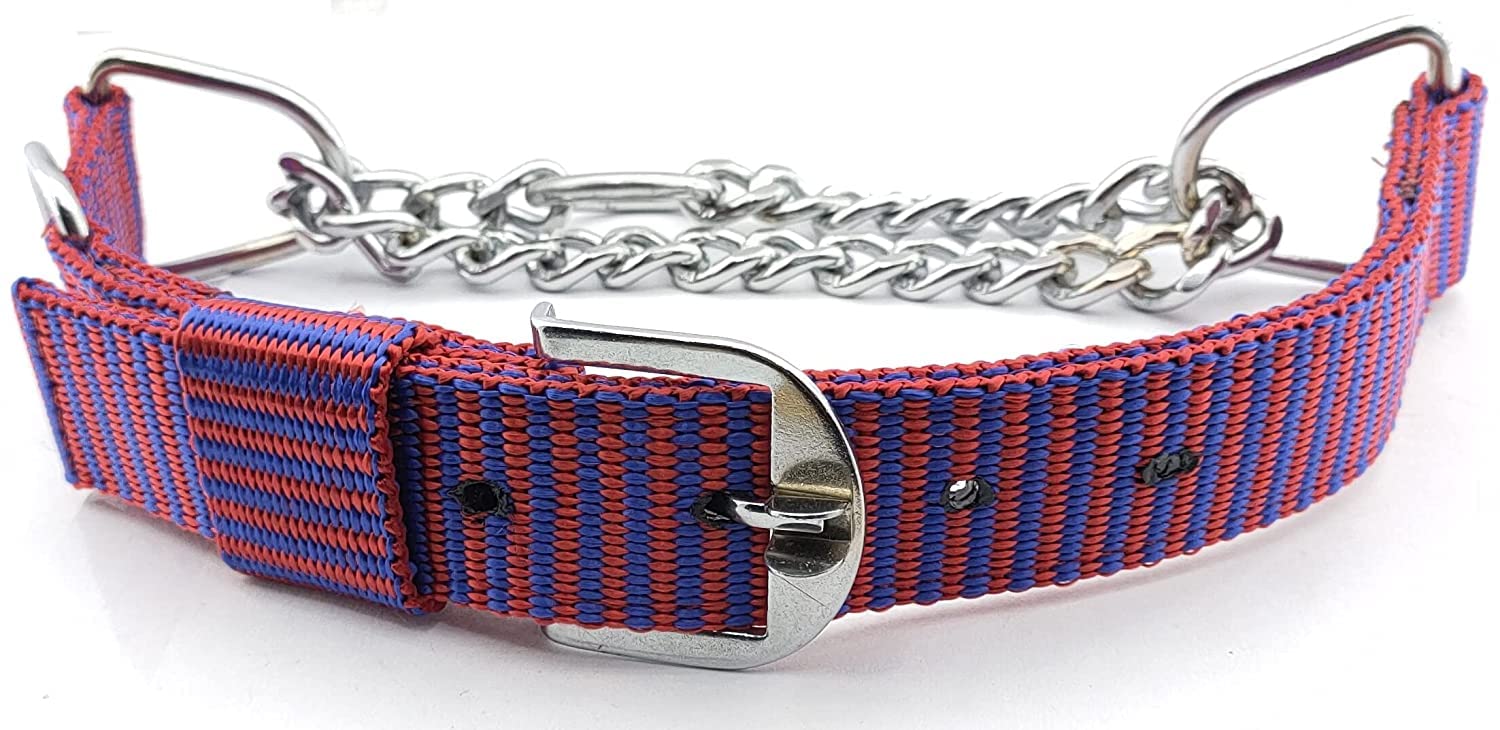 Dog & Cat Heavy Weighted Durable Dog Choke Collar Pet Nylon Half Chain Diamond Cut Choker Metal Dogs Collars Size - 1.5 inch XX-Large for Giant, Grate Dane and Large Breed Dog (Red & Pruple) (B09TWGC5DF) Amazon Price History, Amazon Price Tracker