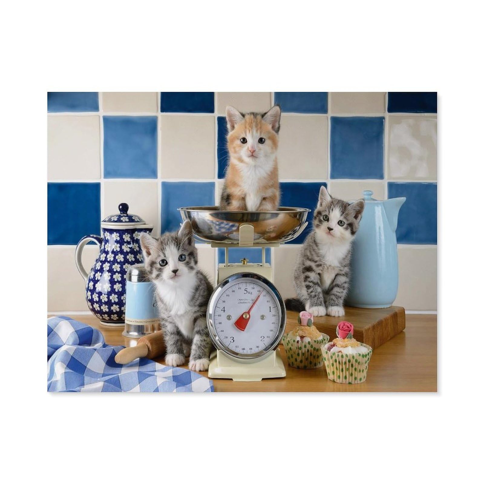 GSBRSNTS DIY Paint by Numbers for Adults Canvas,Cats in The Kitchen,DIY Oil Painting, Pictures Drawing Paintwork with Paintbrushes Decoration Gift(50x60cm-E87