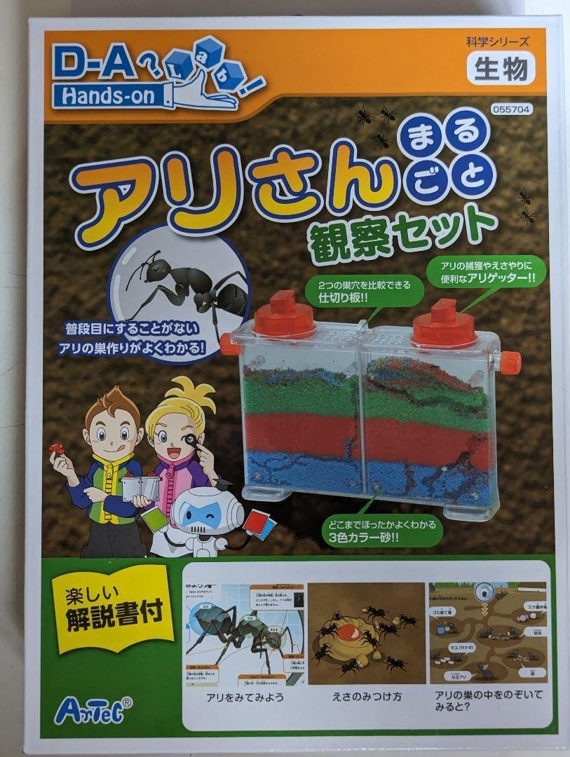 名和昆虫博物館 蝶の標本5種類 メネラウスモルフォ メネラウスモルフォ