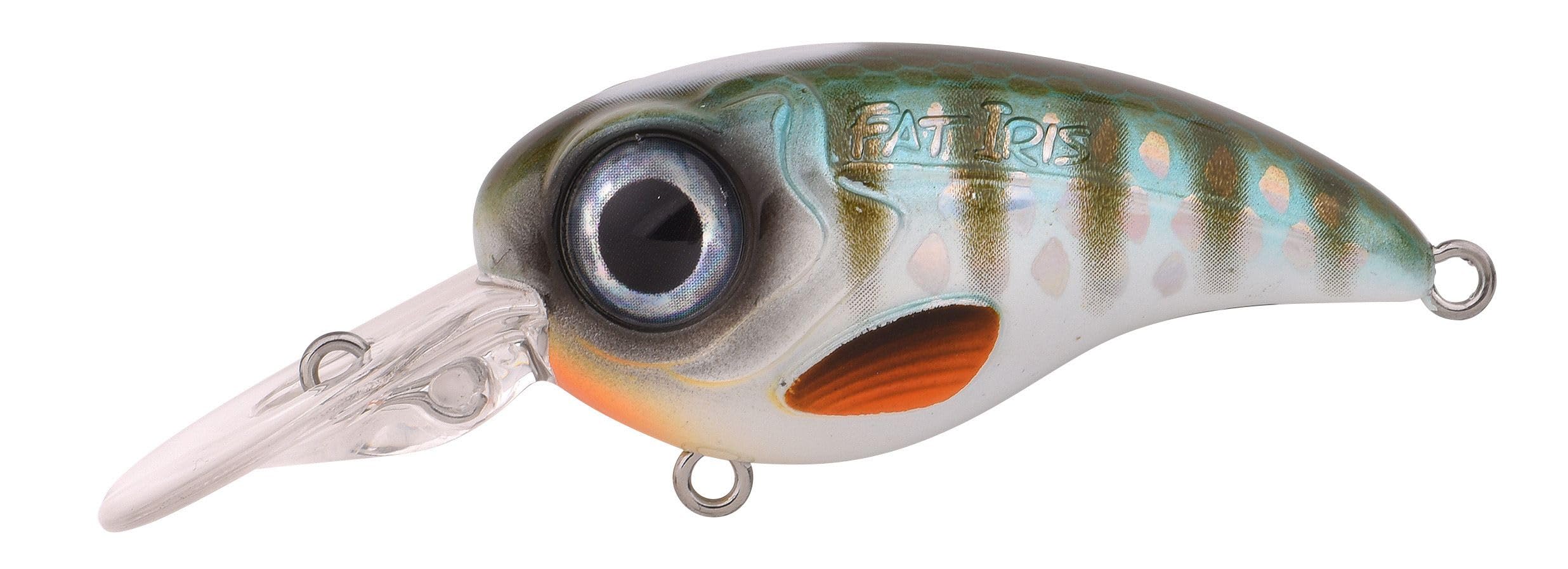 Spro Fat Iris 80 Crank CR Wobbler 8,0 cm - 40 g - Slow Floating (RH-Tiger)