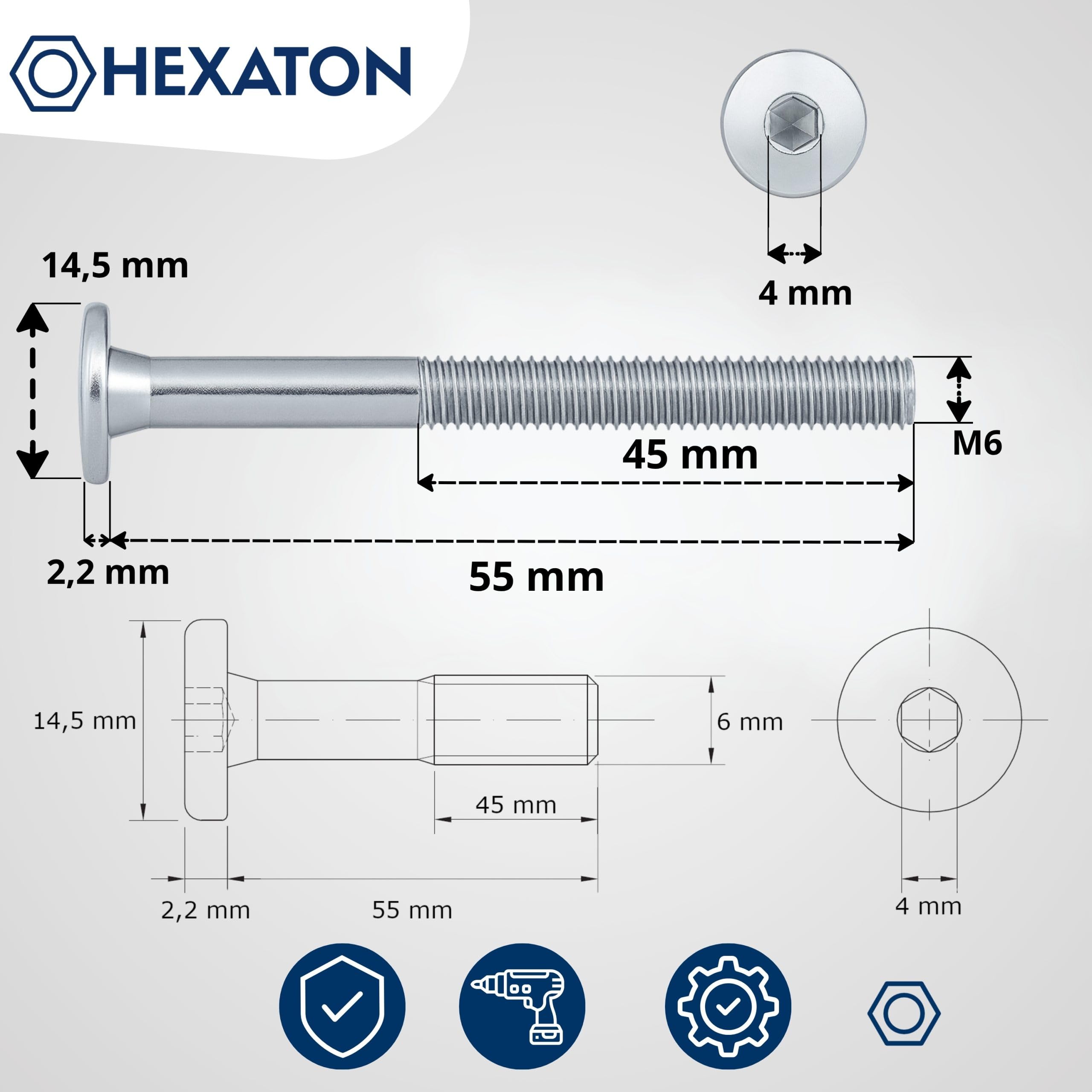 HEXATON Vis Mécaniques M6 x 55 mm – Lot de 50 – Tête Cylindrique à 6 Pans Creux – Acier Zingué Blanc – Filetage Métrique Partiel