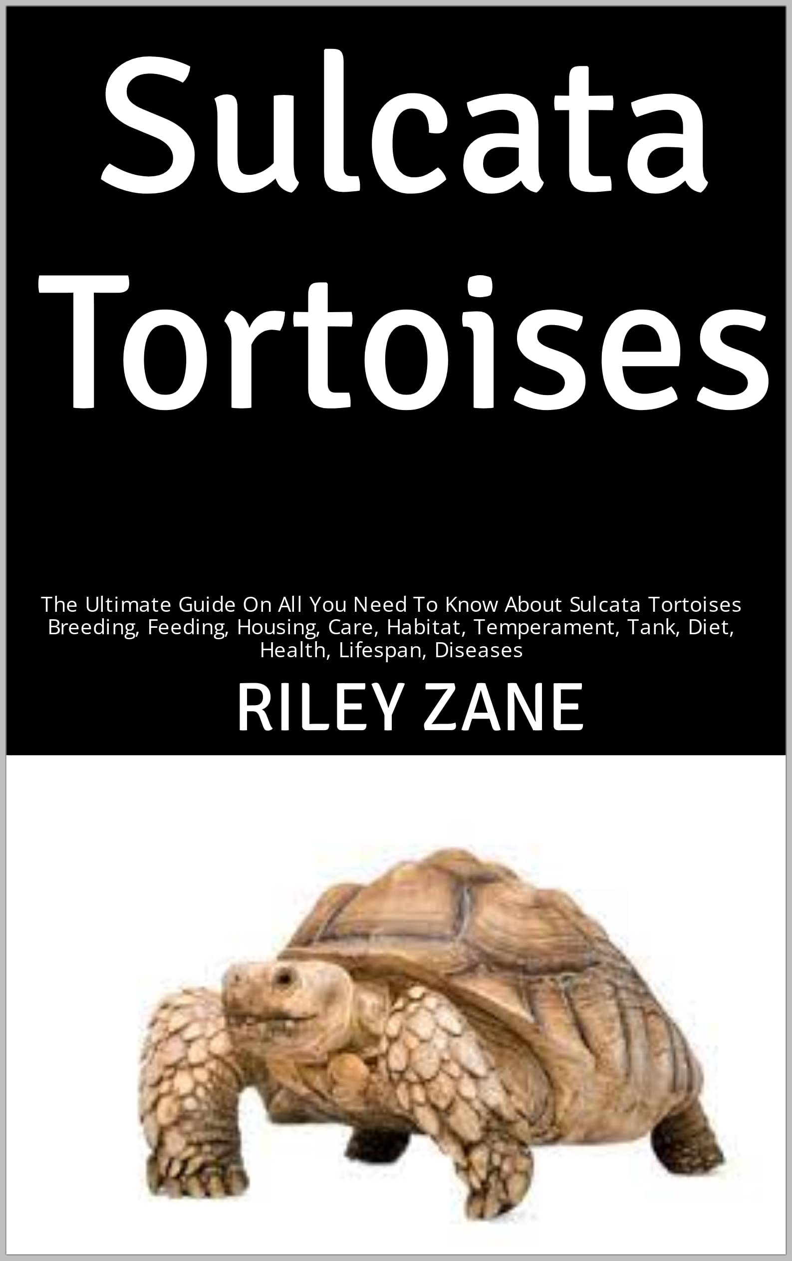 Buy Sulcata Tortoises The Ultimate Guide On All You Need To Know