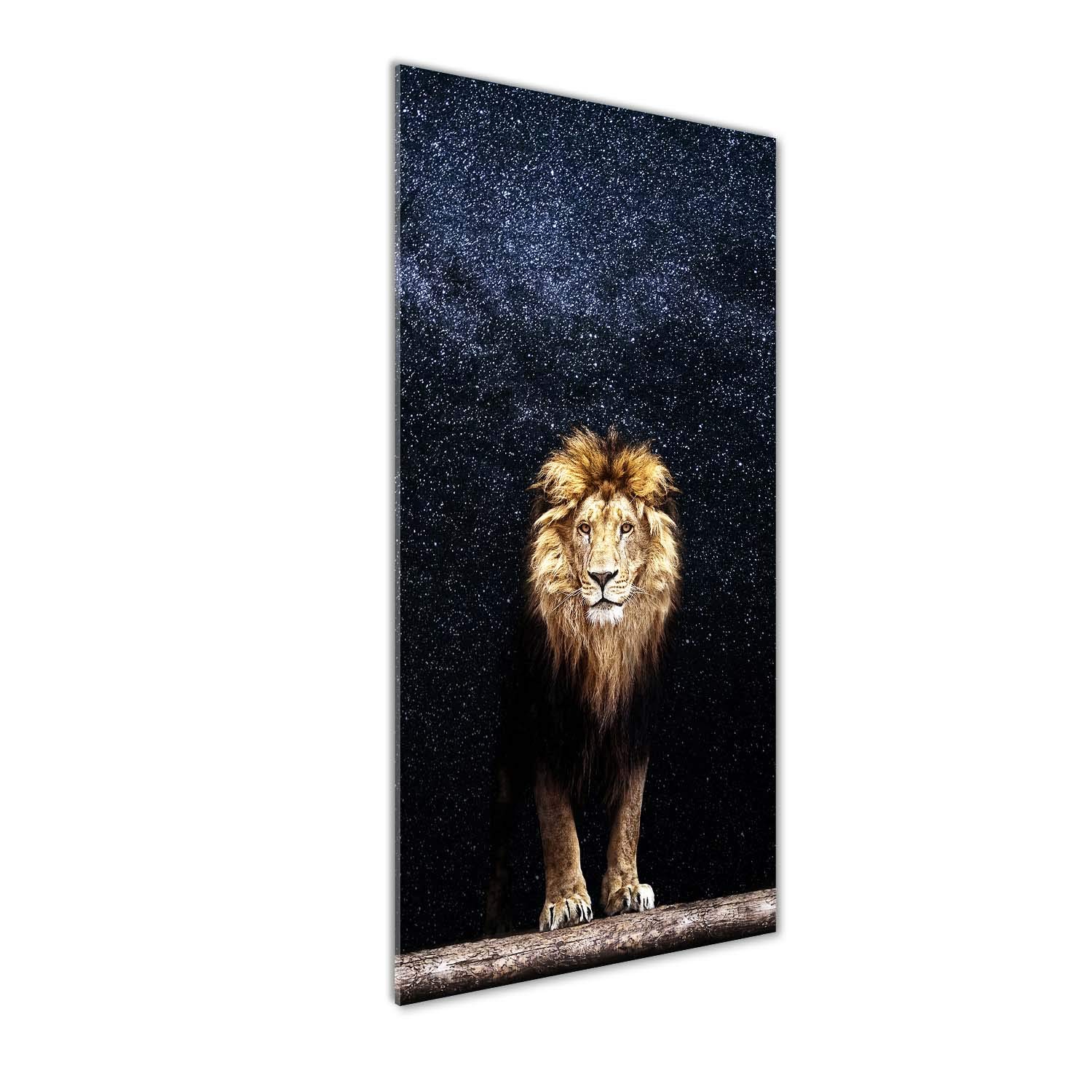 Tableau verre lion Tulup 50x125 cm : la solution déco durable sans décoloration ni usure