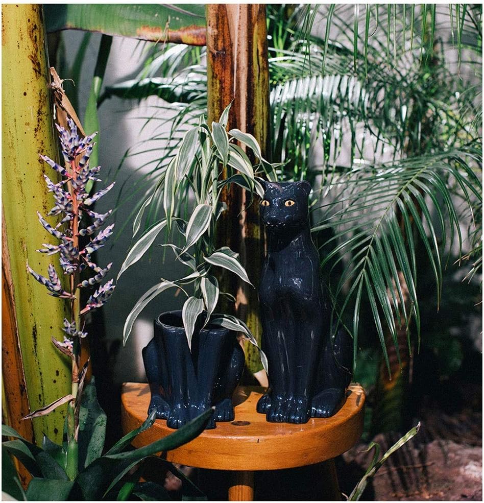 Watering Can Ceramic Watering Pot Outdoor Indoor Watering Cans for House Plants Watering Spout Indoor Flower Watering Pot (Color : Black Panther Watering can)