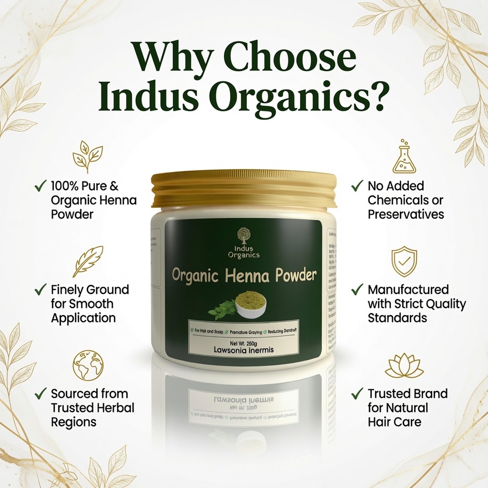 Indus Organics Henna Powder for Hair 250 gm | Mehndi | Fights Premature Greying & Long Lasting Henna | Natural Hair Dye | 2