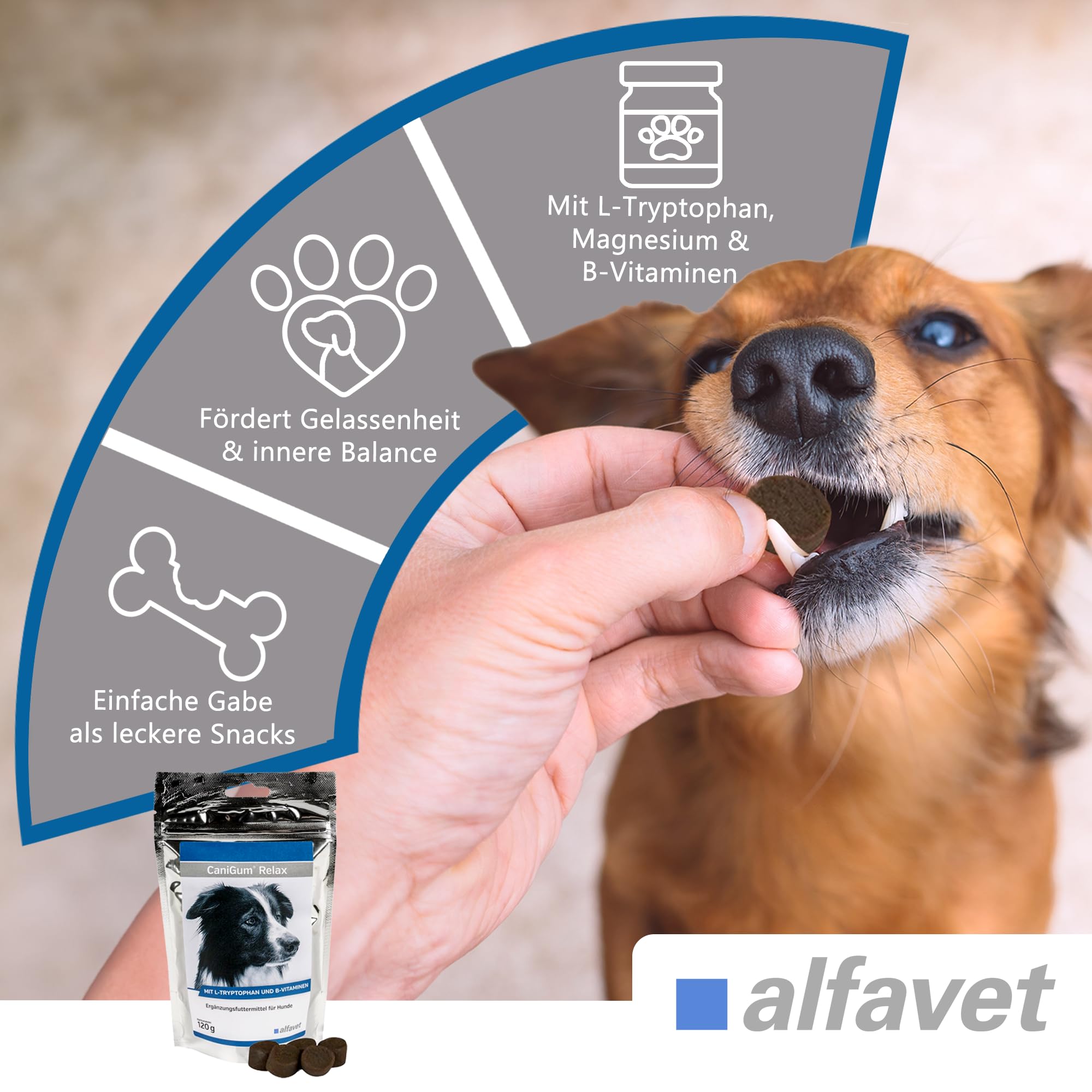 Alfavet CaniGum Relax, Ergänzungsfuttermittel für Hunde mit L-Tryptophan und B-Vitaminen, Beruhigung und Nervenstärke, 120g Kaudrops