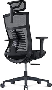 EastForce 腰・肩・首・腕 サポート 多機能チェア STYLUM2.0(スタイラム2.0) メッシュ座面 日本ブランド フィッシュボーンランバーサポート オフィスチェア デスクチェア テレワーク 在宅ワーク リモートワーク 在宅勤務