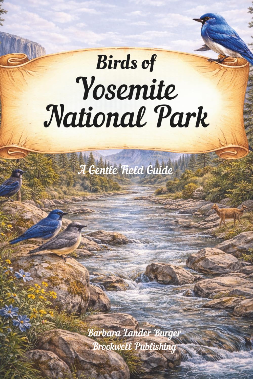 Birds of Yosemite National Park