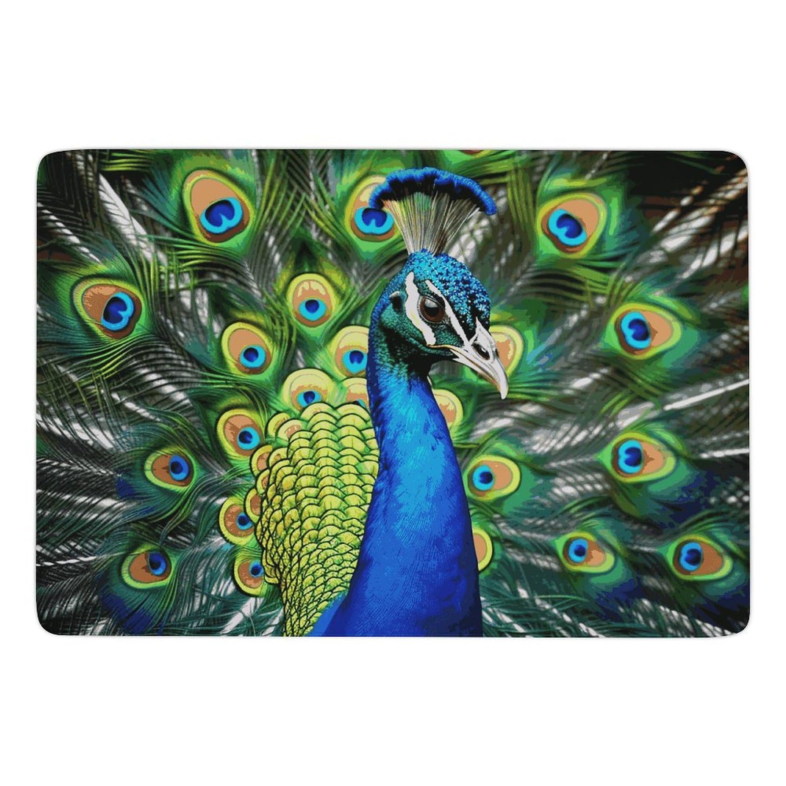 Tapis de bain antidérapant grand format en velours corail bleu paon lavable