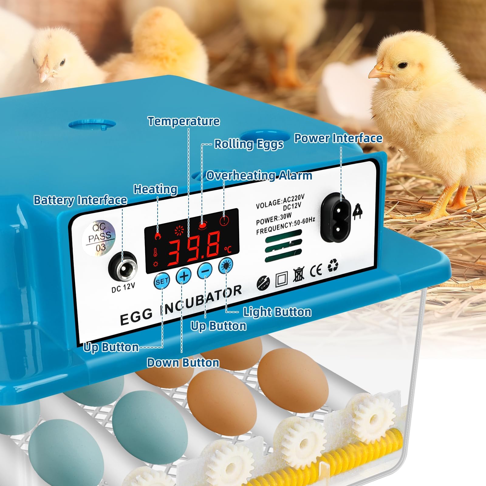 Incubatore automatico per uova con controllo della temperatura per 16 uova, incubatore con rotazione automatica e irrigazione, per uova di pollo, oca, anatra e quaglia