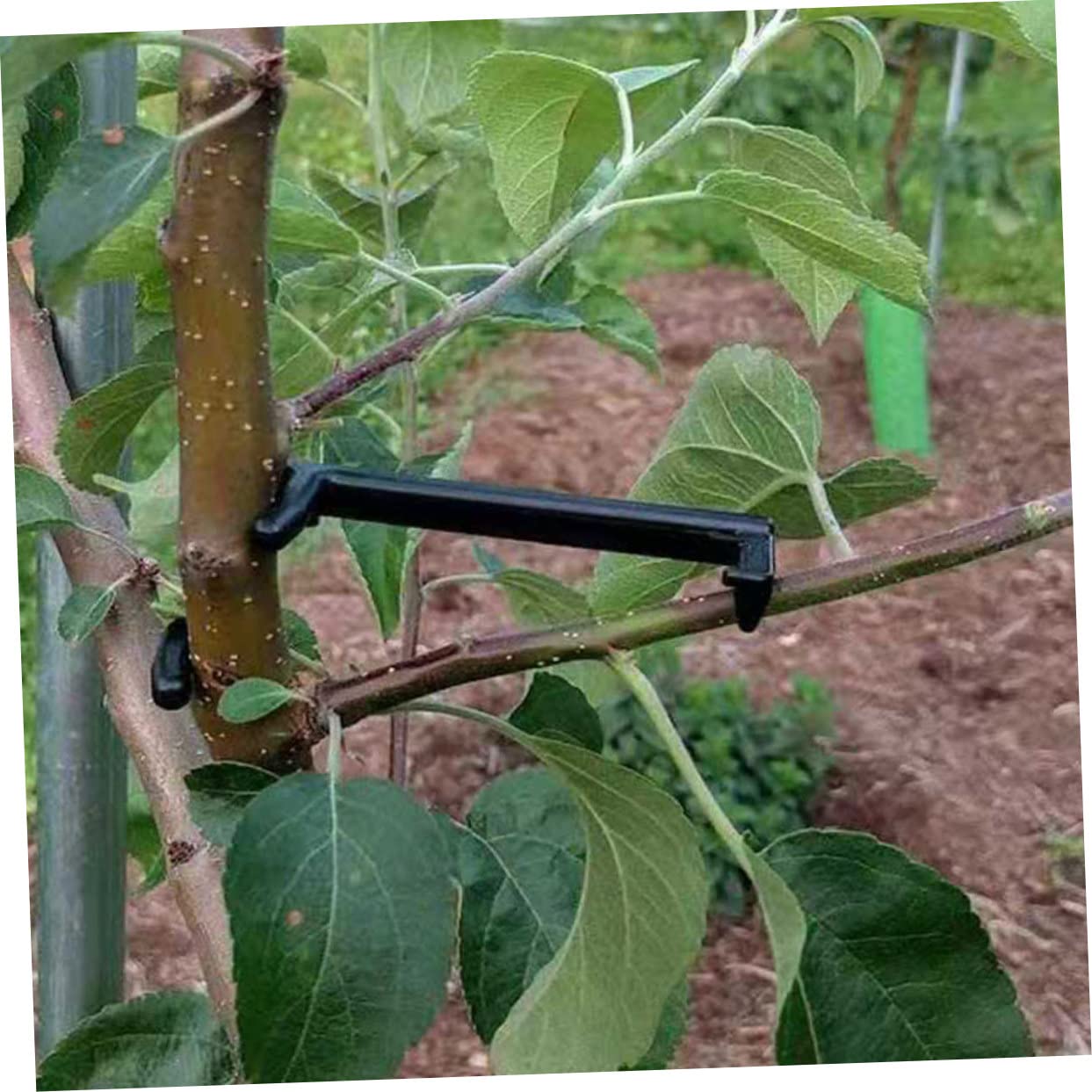 UPKOCH 2 Sätze Pflanzenzweig Bieger Clips Verstellbare Halter Für Obstbäume Und Blumen Zur Formung Und Unterstützung Von Pflanzen Langlebig Und Wetterbeständig 25 Stücke * 2