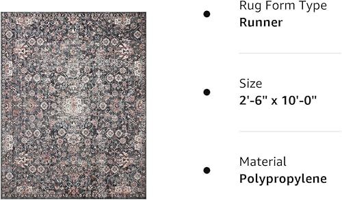 Miniatura 3 de Loloi II Cassandra Collection CSN-03 - Alfombra de pasillo de 2 pies y 6 pulgadas x 10 pies  0 pulgadas  2 pies y 6 pulgadas  2