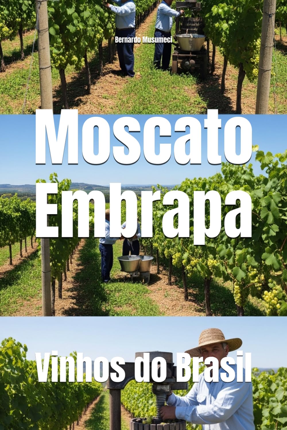 Moscato Embrapa: Vinhos do Brasil (Wines of the World: Brazil)
