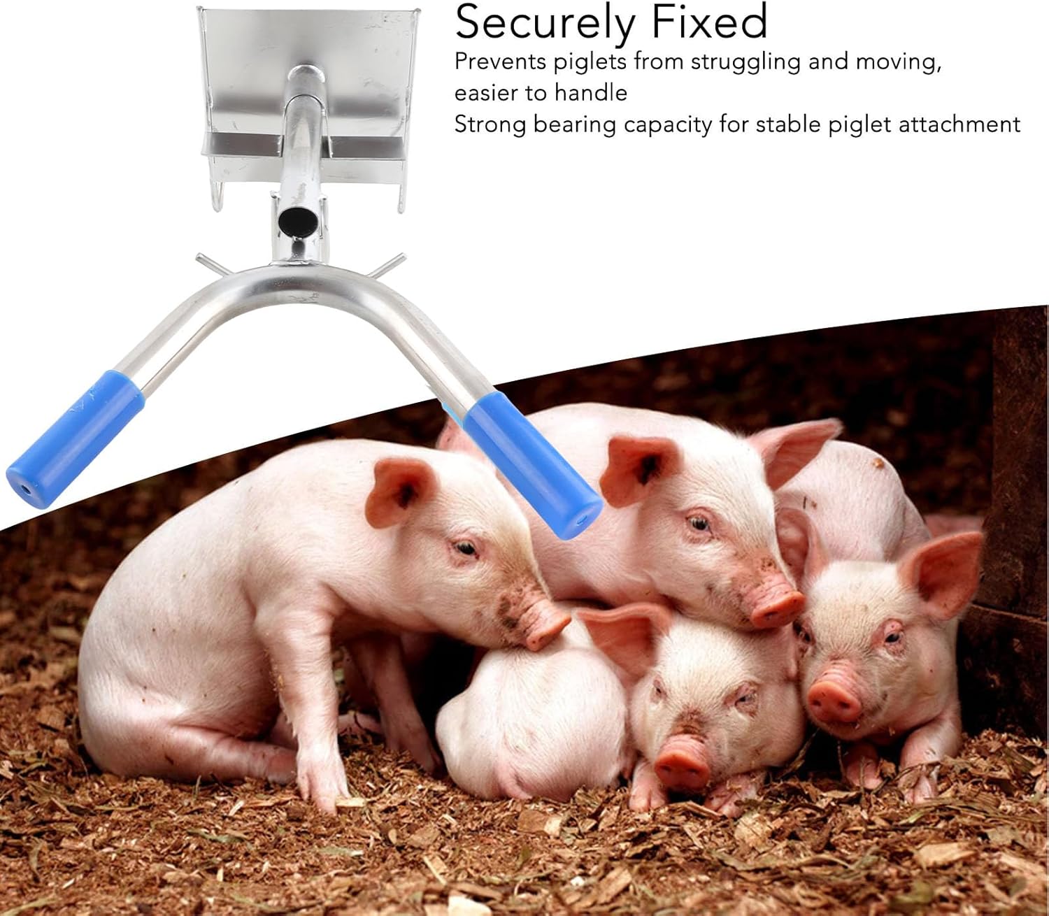 Piglet Castration Rack Stainless Steel Wall Mounted Pig Castration Tool Stable Fixing Holder for Livestock Farm Piglets