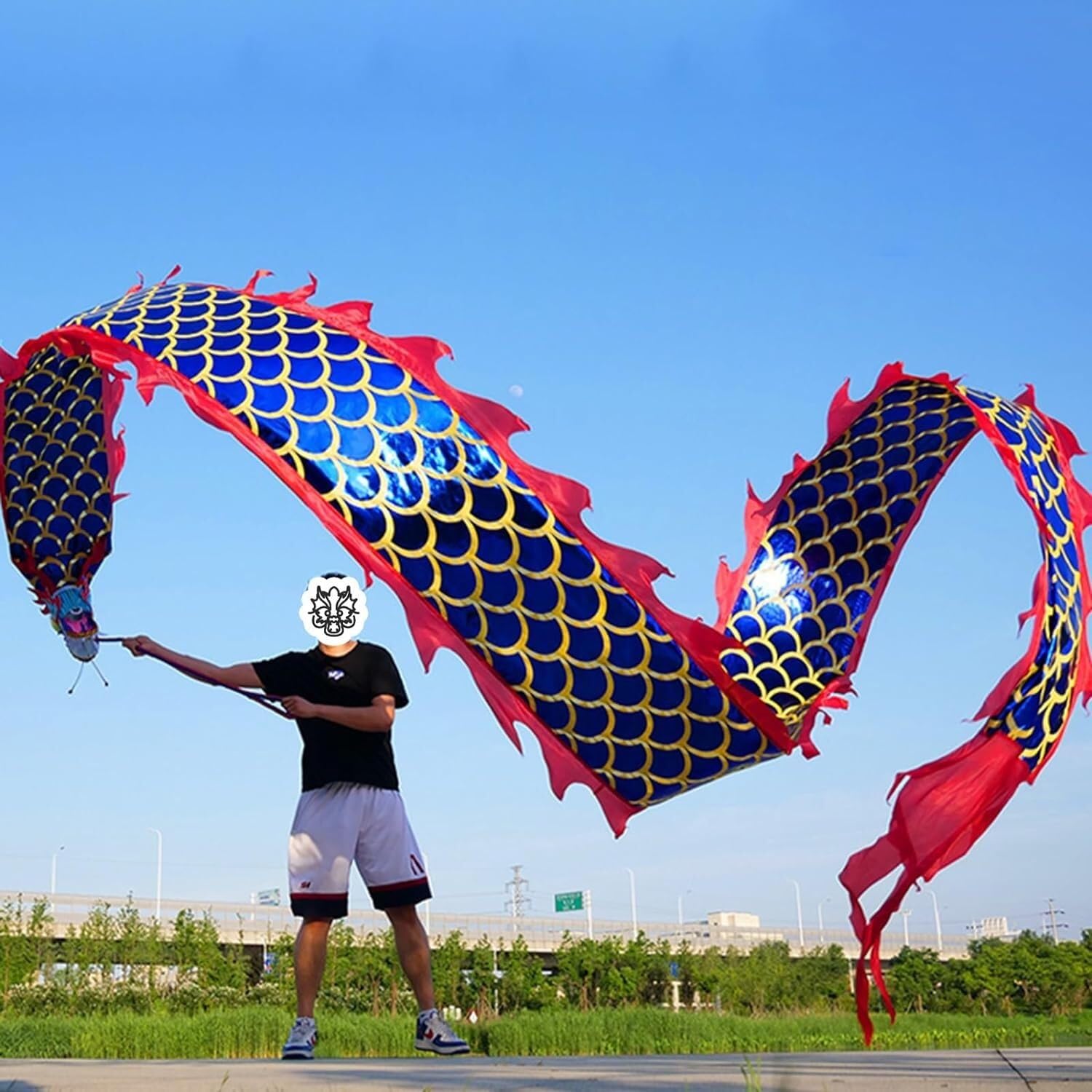 TFG - Ttfd Printed Dragon Tattoo Dragon Dance Flag, Square Fitness Dragon Dance Props Set, Flinging Dragon Streamers(Blue)