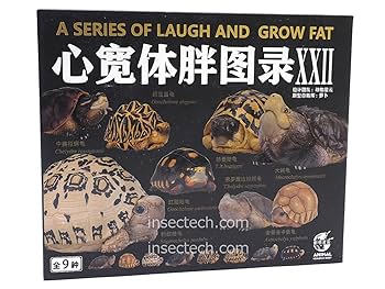 Amazon.co.jp: 【動物の惑星】ワニガメ フィギュア完成品